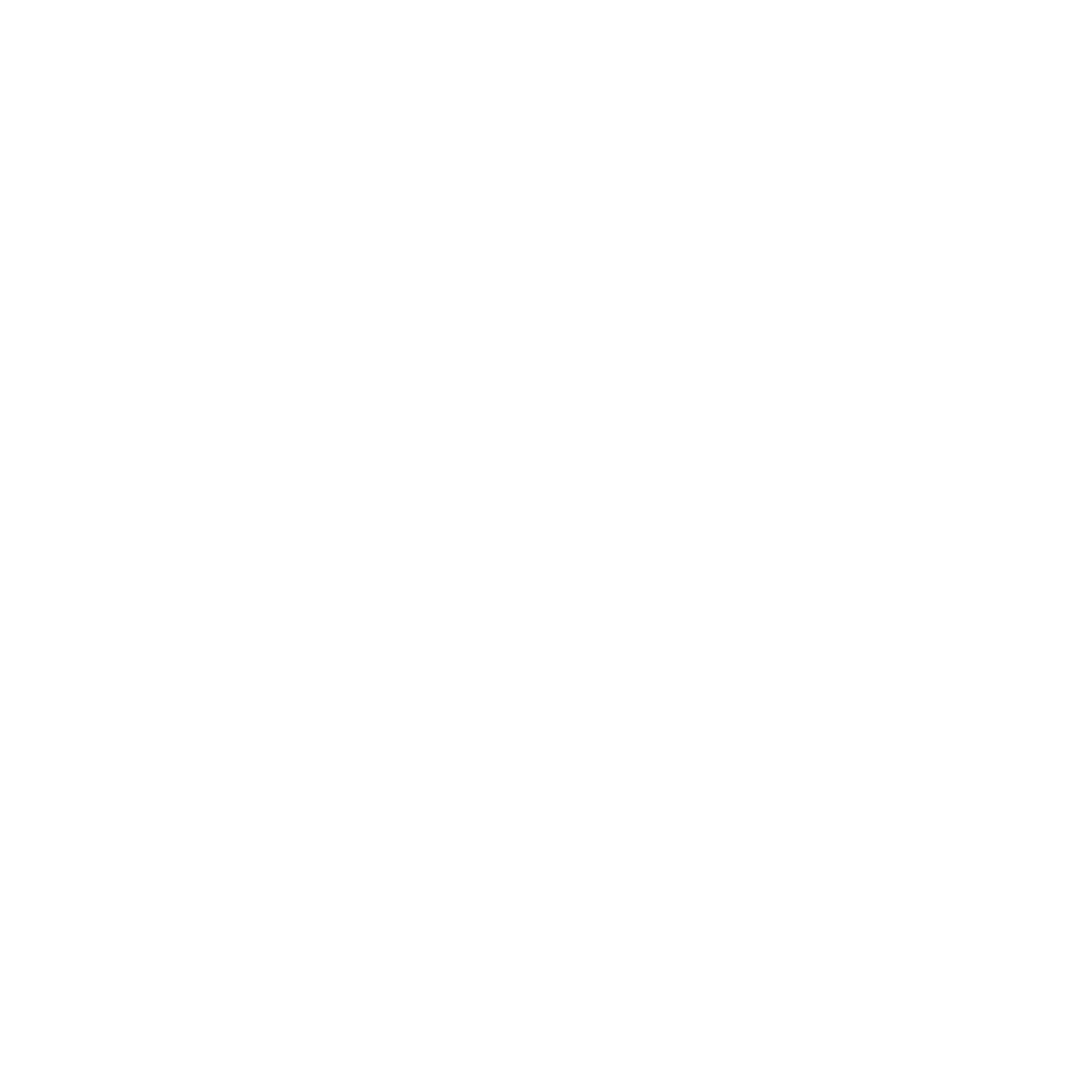 RVZN-AUDIO logo